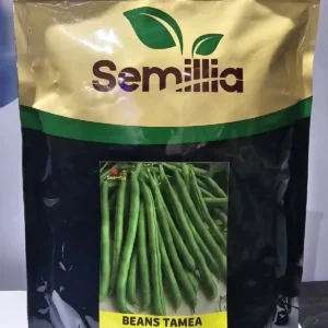 Tamea
