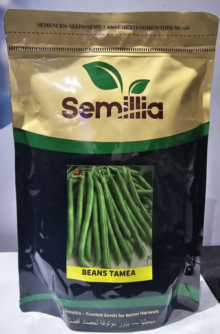 Tamea
