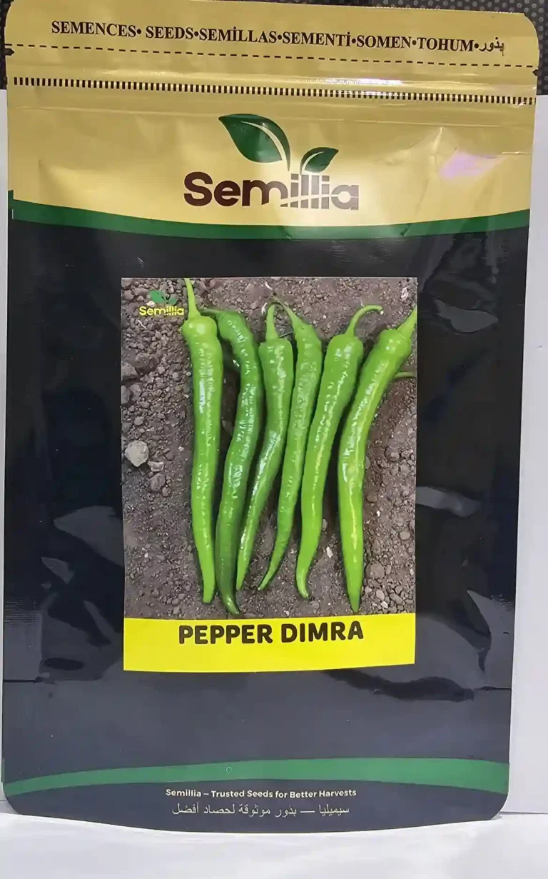 34343