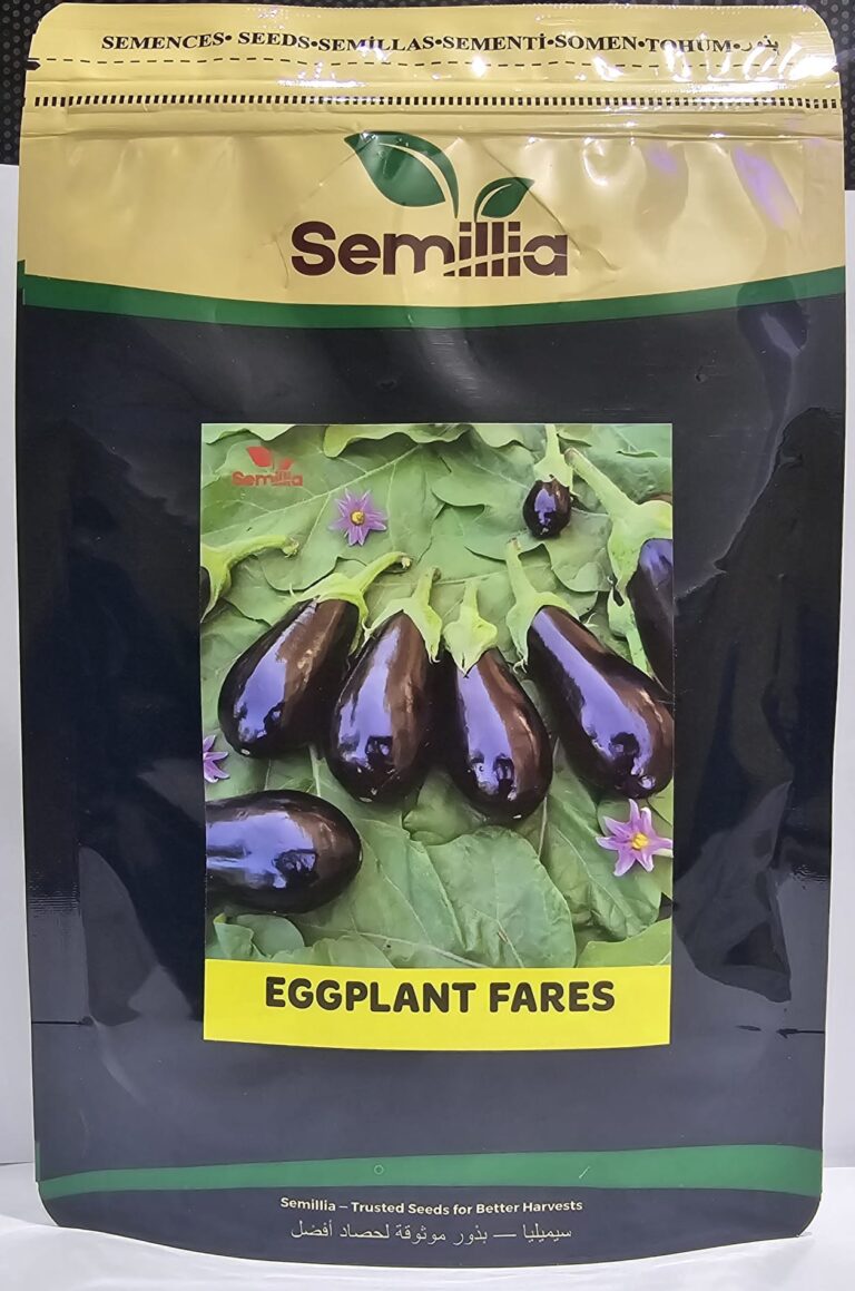 8766