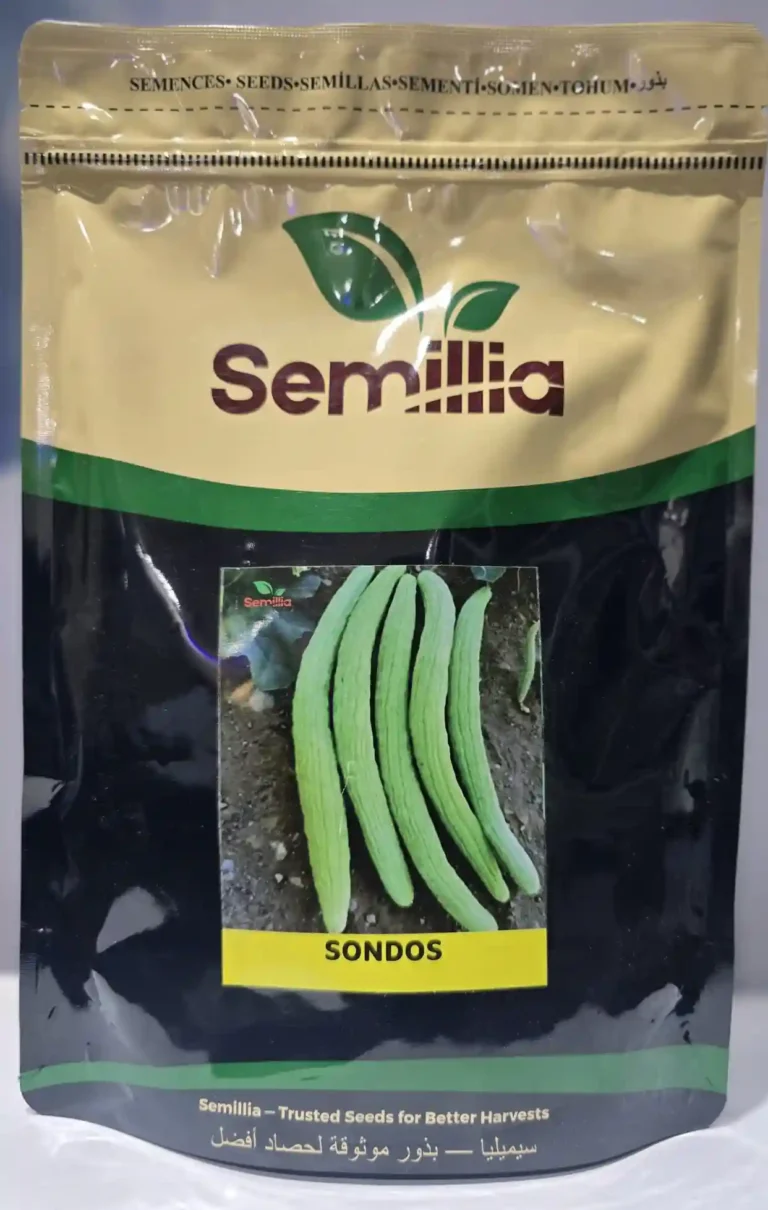 sondos
